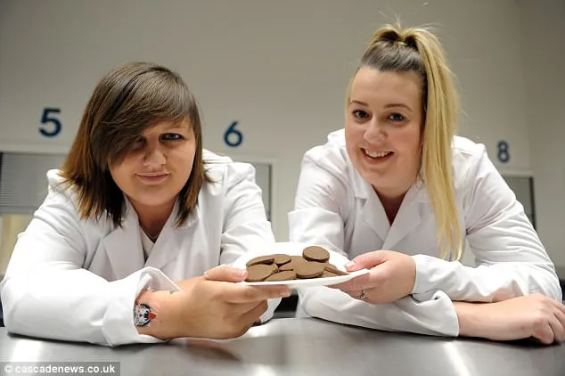 英国研究生用蟋蟀做饼干 口感与普通饼干无异