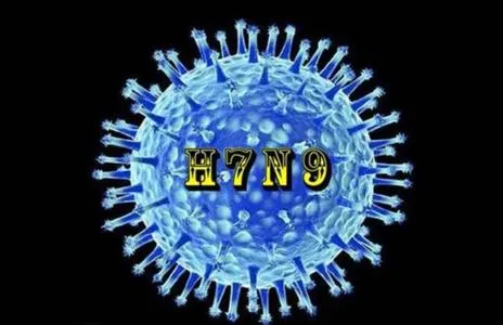 H7N9病毒“凶猛”原因被找到 有助了解禽如何能使人致病