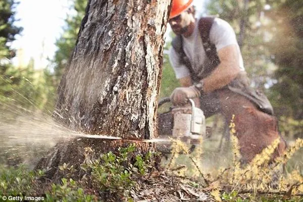 悲剧！人类8个月耗尽1年资源：地球恐怖透支