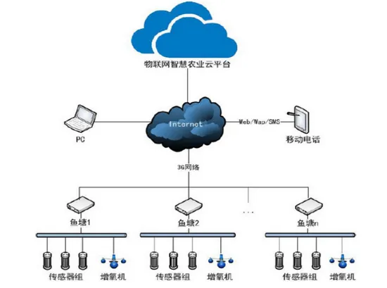 这个塘主用智能化设备，把鱼塘承包了