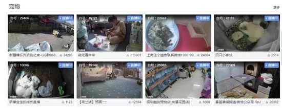 连内衣店、按摩馆都被大量直播 画面让人心惊