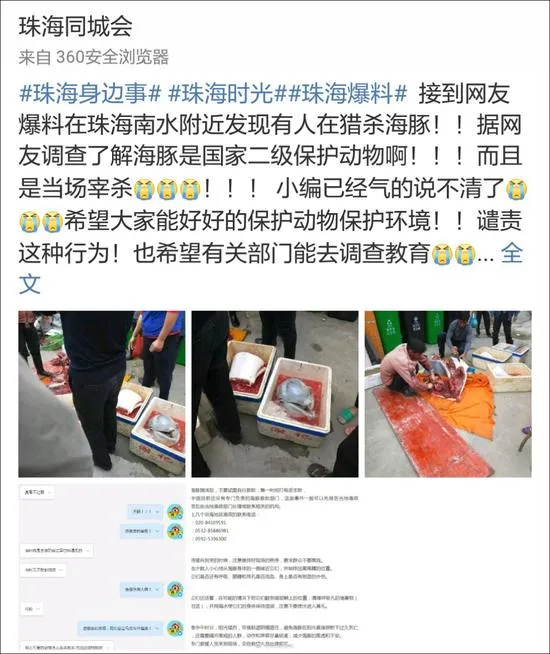 广东珠海现当街宰杀中华白海豚 与杀熊猫同罪