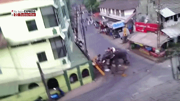 实拍印度大象街头暴走 狂踩路边摊冲撞行人