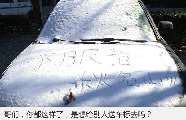 北方大雪炸出一波车身段子手：只服最后一个