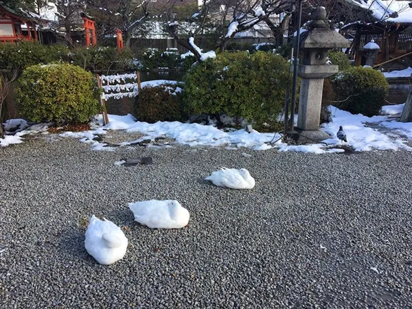 看看日本网友是怎么晒大雪的