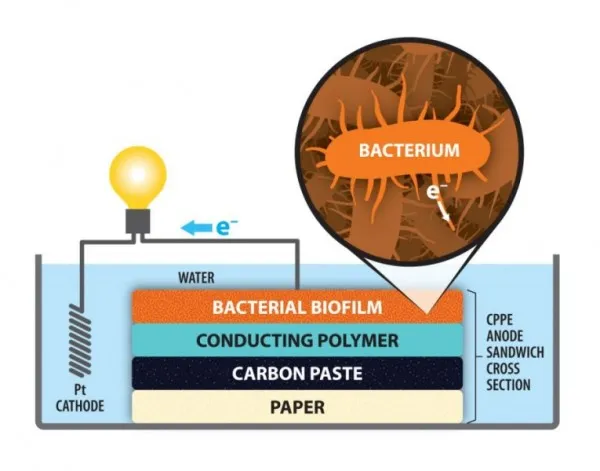 用纸做成的电极让微生物燃料电池更廉价高效