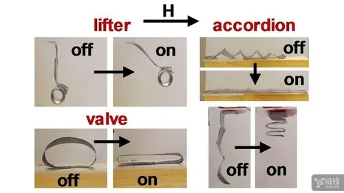 科学家研制出三种可磁场控制的软体机器人