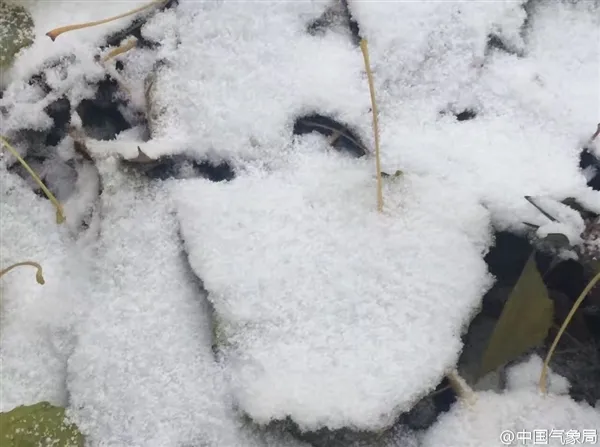 北京初雪如约而至 网友开启晒图模式