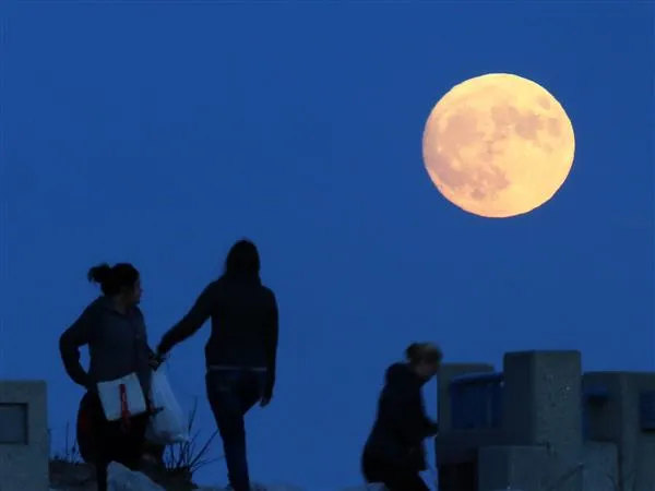 68年最大！世界各地的“超级月亮”：简直美呆了