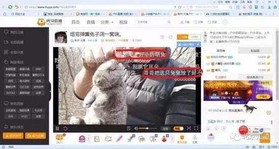 万人围观捕杀野生动物 多家直播平台现打野直播