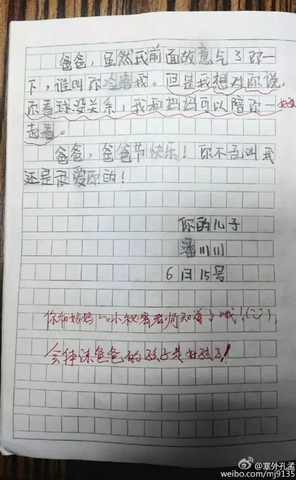 小学生写作文吐槽父亲看欧洲杯 看后被萌化