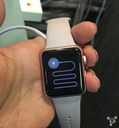 Apple Watch进入“贪吃蛇”模式? 苹果：重启