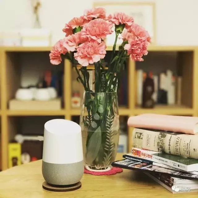 Google Home或Amazon Echo值得买吗？