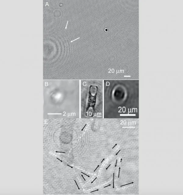 NASA欲通过尖端设备寻找木卫二生命迹象