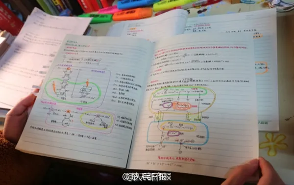 美女学霸“绘本笔记”走红 网友：堪称艺术品