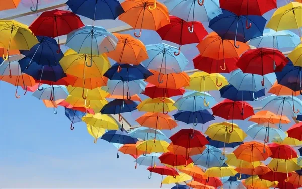 3万把共享雨伞被抢光：其实 赚大了！