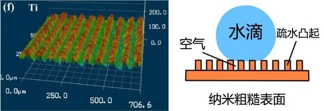 酷炫动图（二十七）：水桑，你走开！