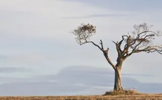 一场线下活动要有多努力才能看起来毫不费力