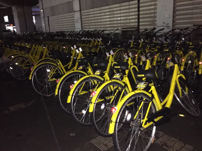 ofo