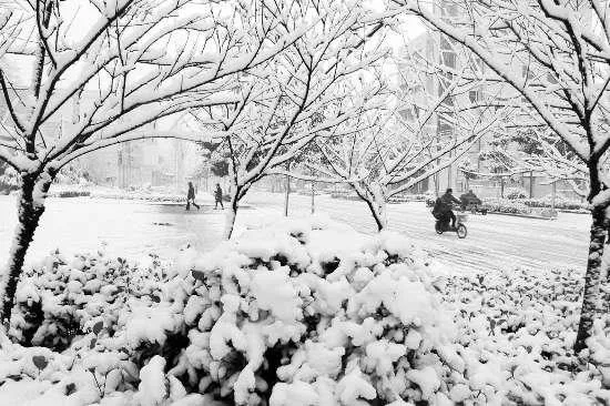 大降雪：华北遭遇极端天气现象