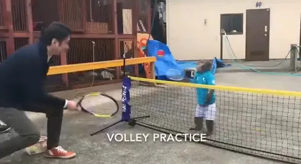 日本6岁猴子打网球走红：一颗冉冉升起的运动新星