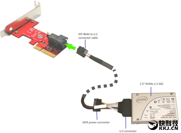 U.2接口SSD无处可插？转接卡来救命