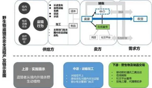 野生动物网络交易增至四成 爱地球请从拒绝杀戮开始