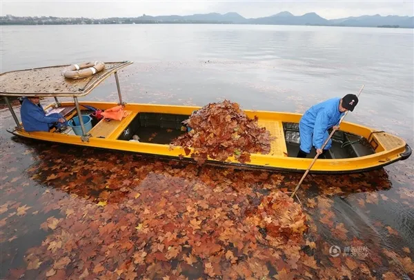 醉人尤物：落叶铺满西湖美到窒息