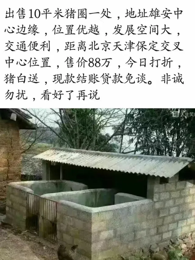 你有你的法拉利 我在雄安新区有两亩地