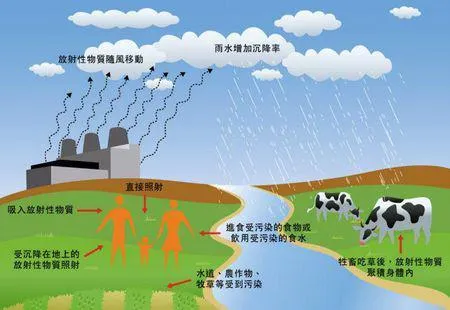 日本核辐射食品：放射物与生俱来 洗不掉