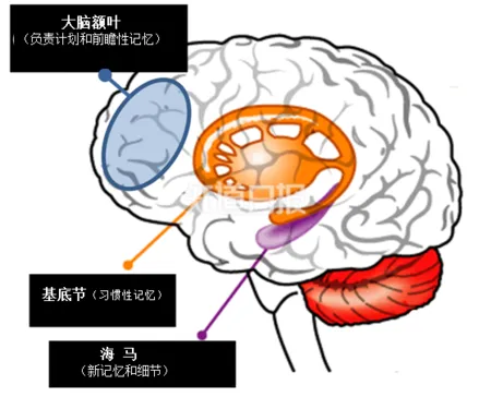 悲！为何那么多孩子被忘在车里活活热死？