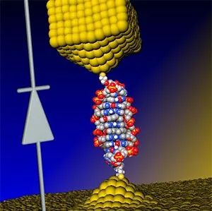 科学家用DNA分子造出全球最小二极管