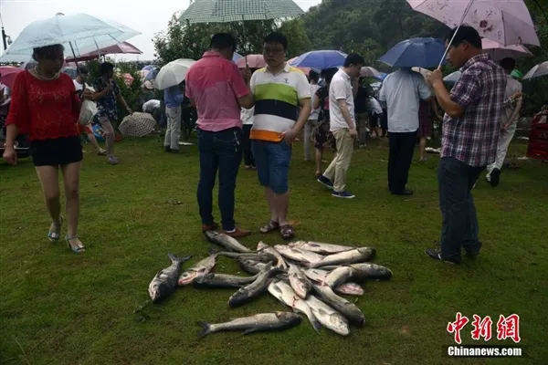 浙江水库泄洪：民众不惧 洪口捕鱼险象环生