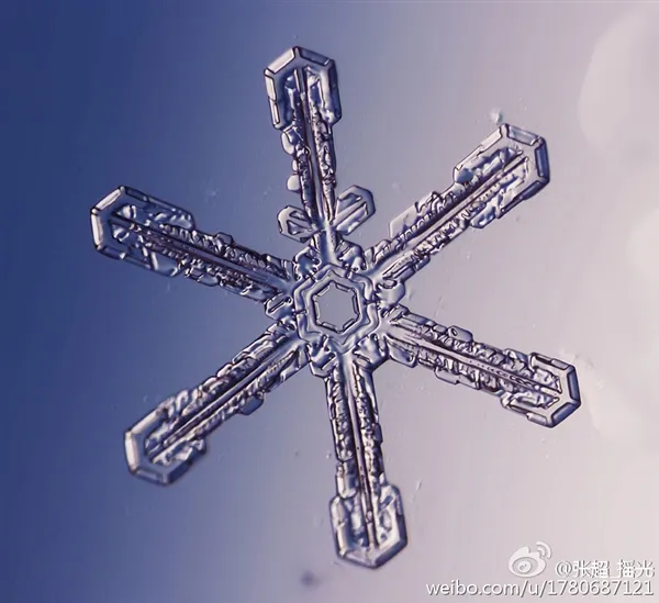 100倍目视倍率下的北京雪花：美的让人惊叹！