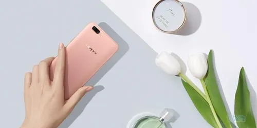 赛诺市场6月报告：OPPO R11轻松夺冠