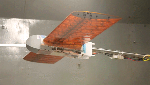 MIT与NASA联合研发变形机翼 率先用于无人机