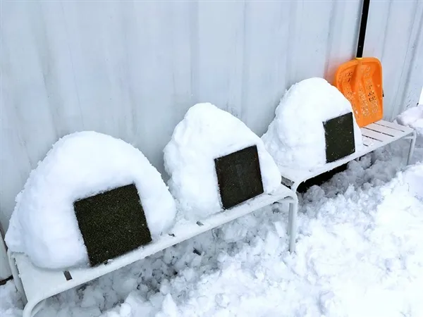 看看日本网友是怎么晒大雪的