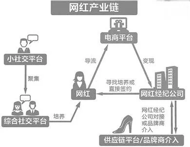 网红未熟:传统的造星路与待完善的供应链