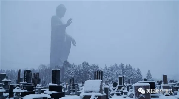 巨物恐惧症！这组图片看了让人头皮发麻...