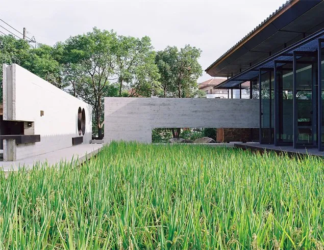 想要热天纳凉，是时候建一个垂直森林了