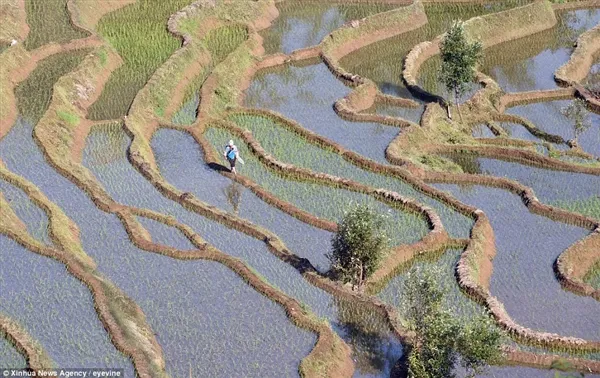 你从未见过的地球奇景：美如油画