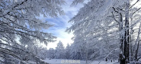 极寒、极景：零下40度的大兴安岭林海雪原