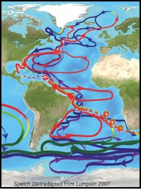 气候变化可能导致“大西洋经向翻转环流”崩溃
