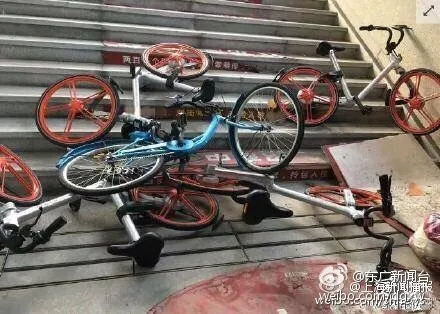 [多图]成都共享单车遭遇尴尬 被扔河里