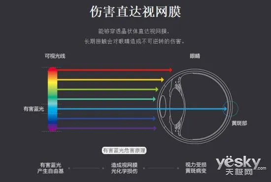 护眼功能哪家强？解析电子产品的防蓝光技术