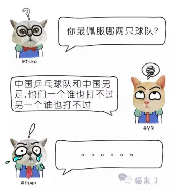 吾皇万睡、猫来了、观复猫引领萌宠漫画类公号潮流