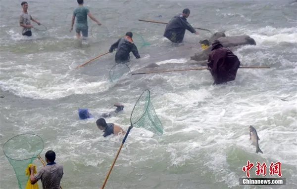 浙江水库泄洪：民众不惧 洪口捕鱼险象环生