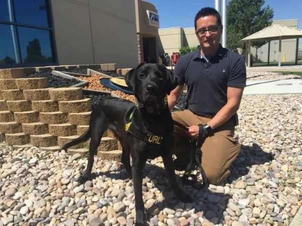 [图]能闻出色情片 - 这就是神一样的超级警犬