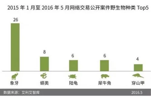 野生动物网络交易增至四成 爱地球请从拒绝杀戮开始