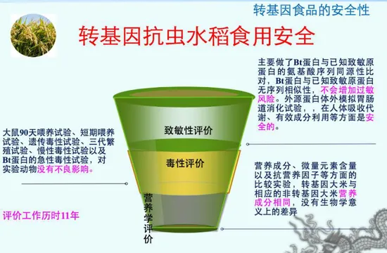 转基因食品已走上餐桌：是毒药还是良药？